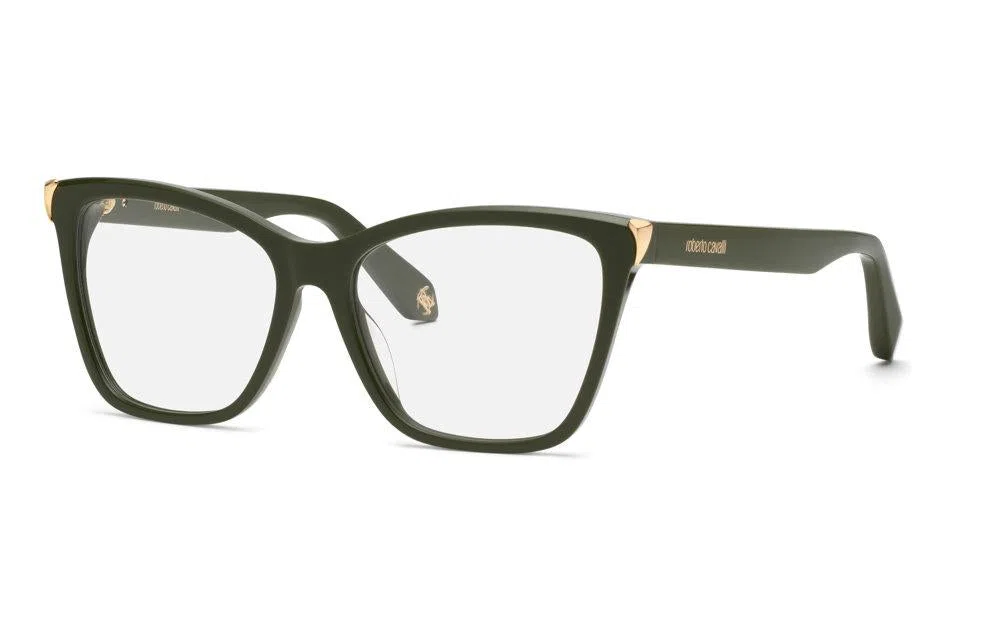Roberto Cavalli VRC101M Eyeglasses - view 2